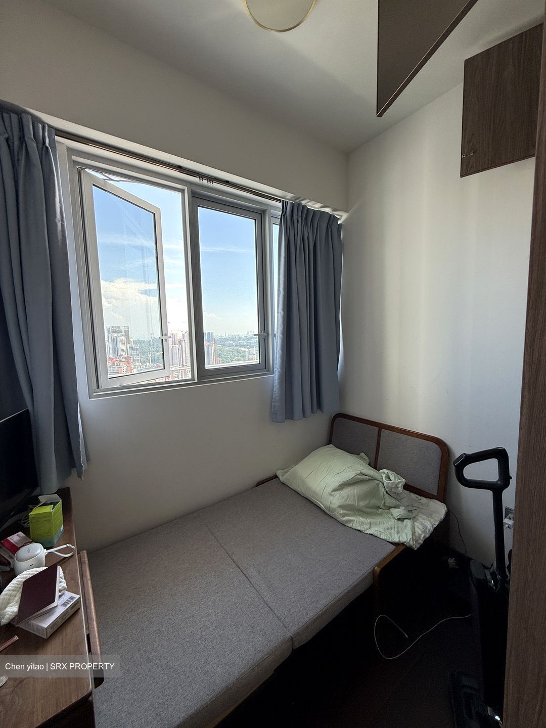 Queens Peak (D3), Condominium #587538061